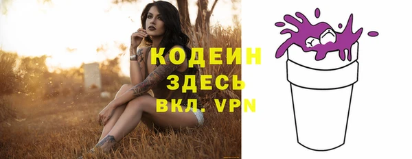 эйфоретик Богданович