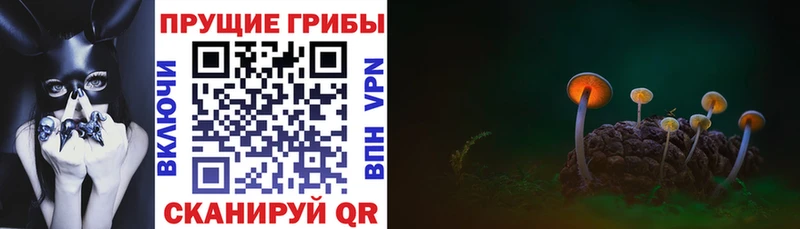 blacksprut рабочий сайт  Невель  Галлюциногенные грибы прущие грибы 